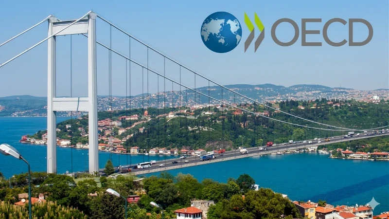 OECD İstanbul'un faaliyet süresi 3 yıl daha uzatıldı