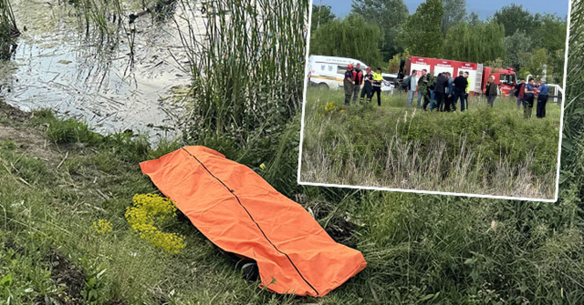 Sakarya Arifiye’deki Gölya Tabiat Parkı göleti çevresinde inceleme yapan ekipler