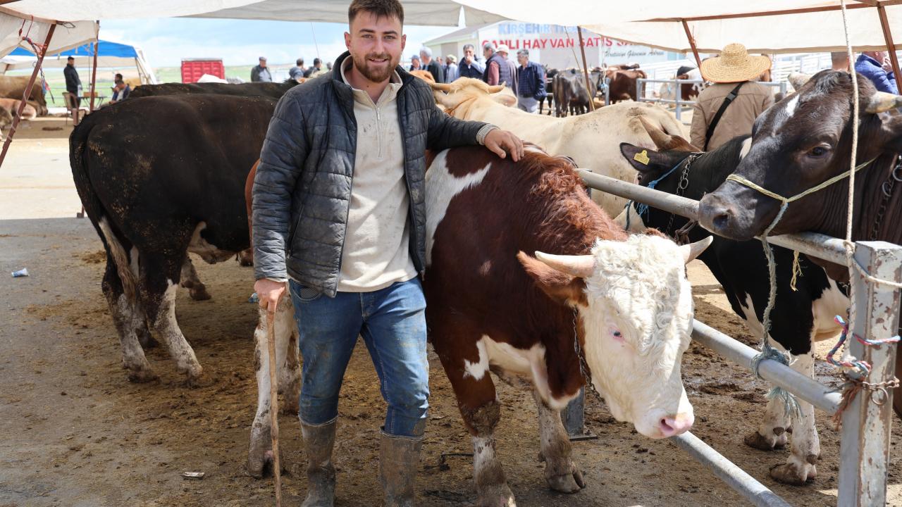 Kırşehir’de 830 kiloluk kurbanlık tosun 300 bin TL’ye satıldı