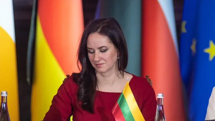 Litvanya Başbakanı Ruginiene'den Türkiye'nin NATO rolüne övgü