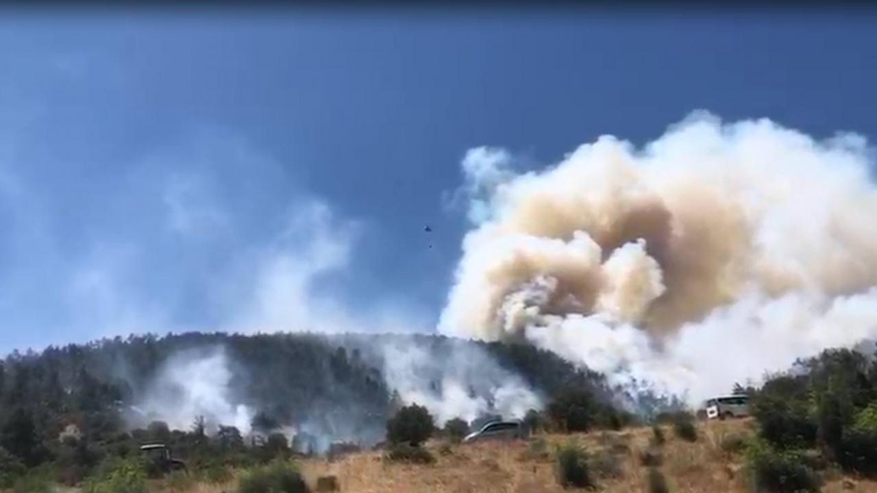 Balıkesir’de ormanlık alanda çıkan yangına müdahale eden ekipler