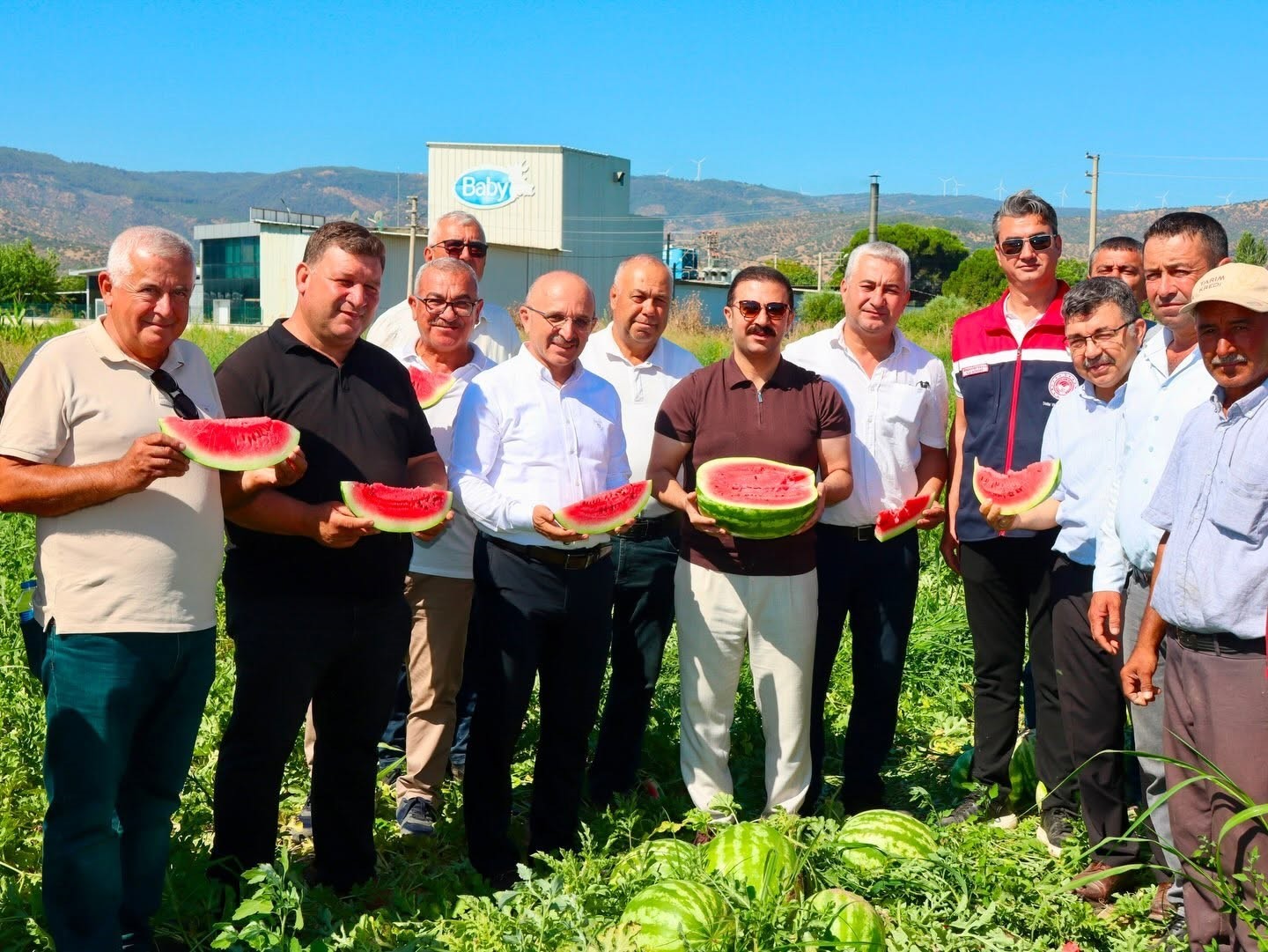 Koçarlı’da Cincin Karpuzu İçin İlk Hasat Başladı